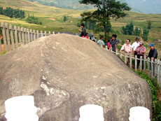 Triển lãm 