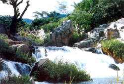 Ninh Thuận: Khai thác nguồn nước ngọt Vườn quốc gia Núi Chúa phục vụ dân sinh và du lịch