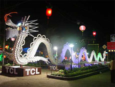 Đà Nẵng tổ chức Hội hoa xuân 2010