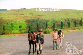 Lượng khách du lịch đến Lâm Đồng tăng 4%