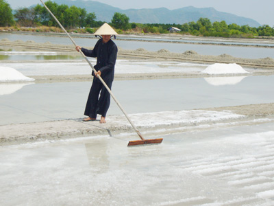 Khảo sát xây dựng các tour du lịch đồng quê