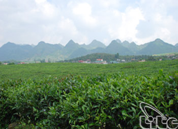 Tour tham gia chương trình du lịch “Qua miền Tây Bắc – Sơn La 2011”