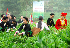 Thái Nguyên sẵn sàng cho Liên hoan trà quốc tế lần thứ nhất Thái Nguyên - Việt Nam 2011 
