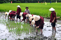 Một ngày làm nông dân của khách Tây 