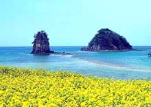 Thăm đảo Jeju không cần visa