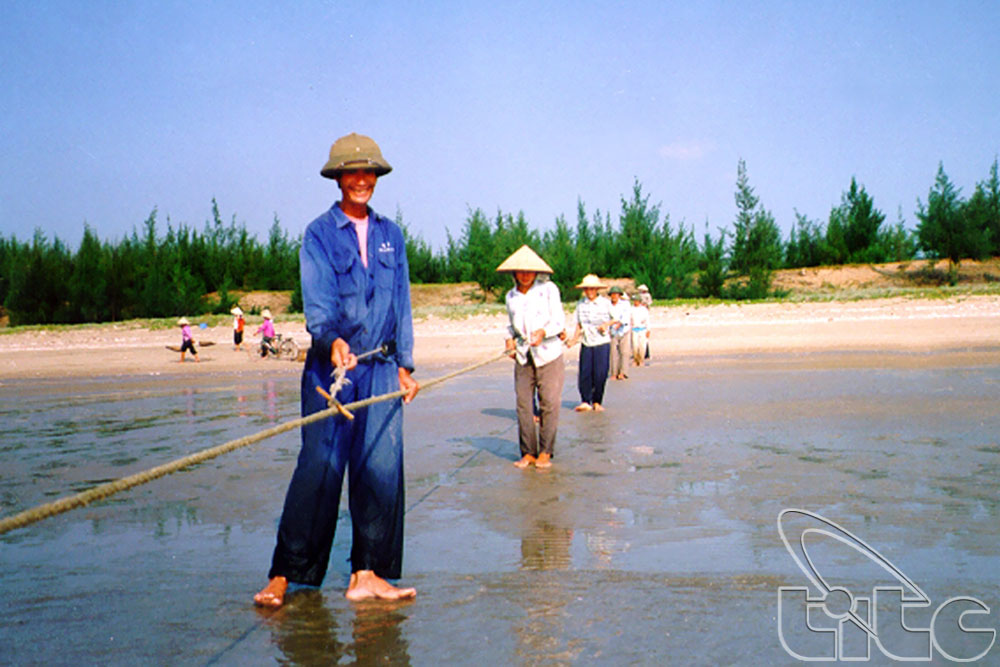 Nghề đánh bắt hải sản