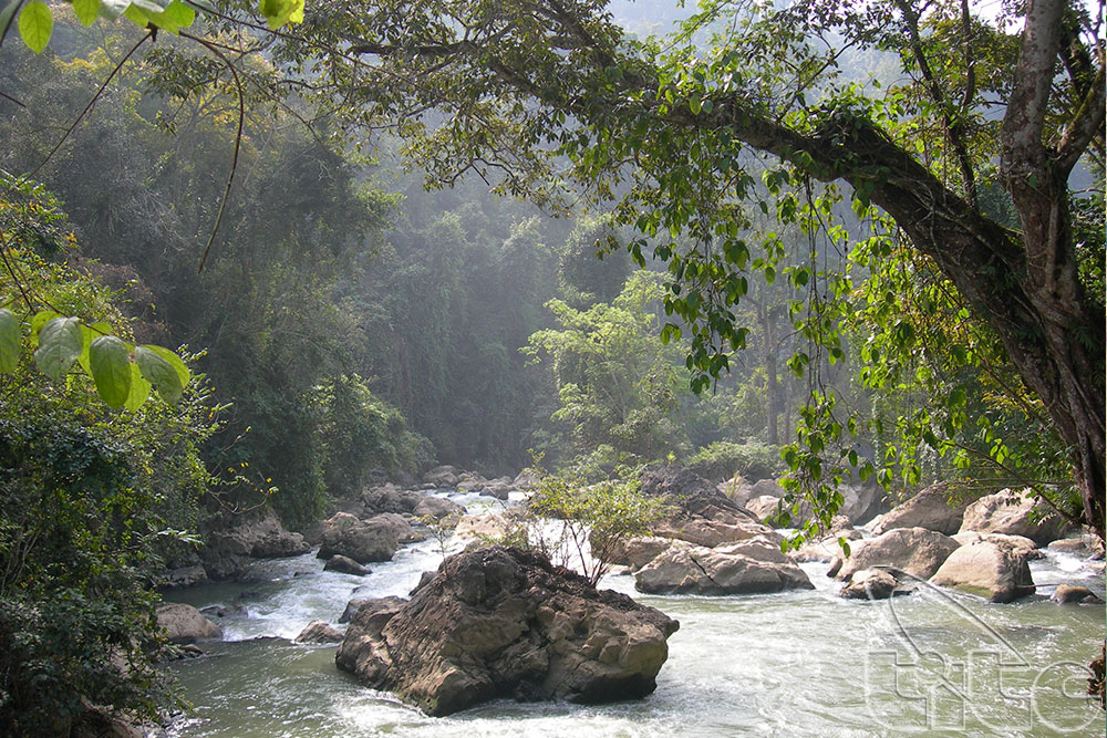 Thác Đầu Đẳng