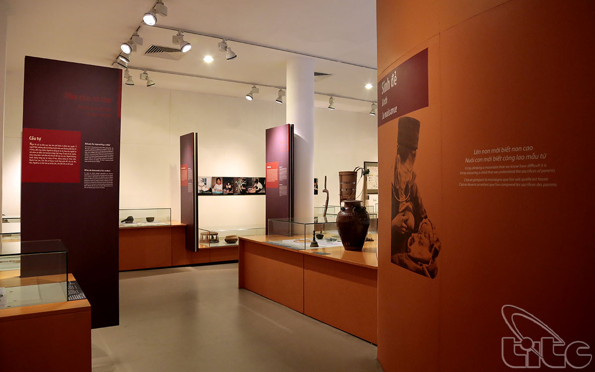 Bảo tàng cũng đã phát triển một bộ sưu tập hơn 25.000 tài liệu hiện vật liên quan đến phụ nữ Việt Nam