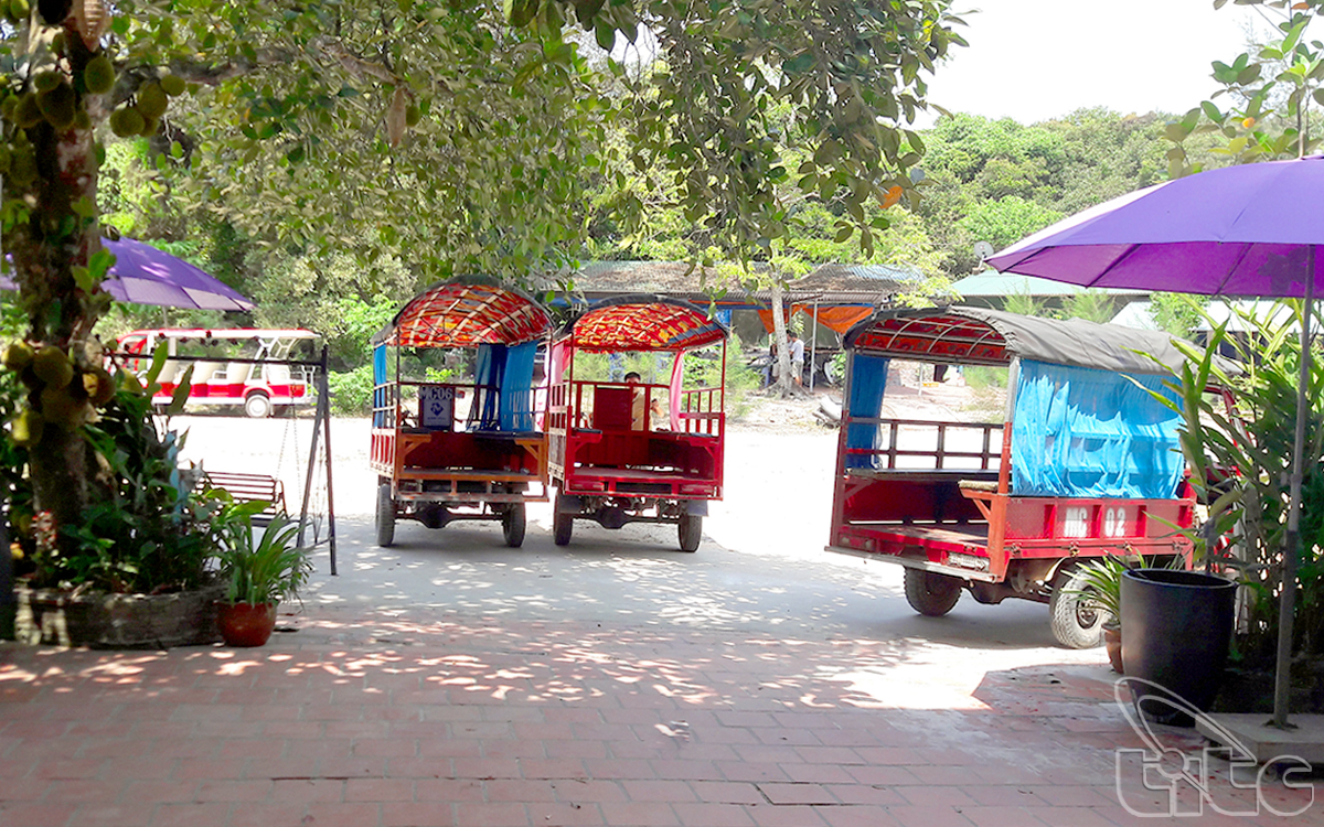 Each tuk tuk can carry about 8 people. Taking tuk tuk to visit Quan Lan Island will give visitors interesting experience