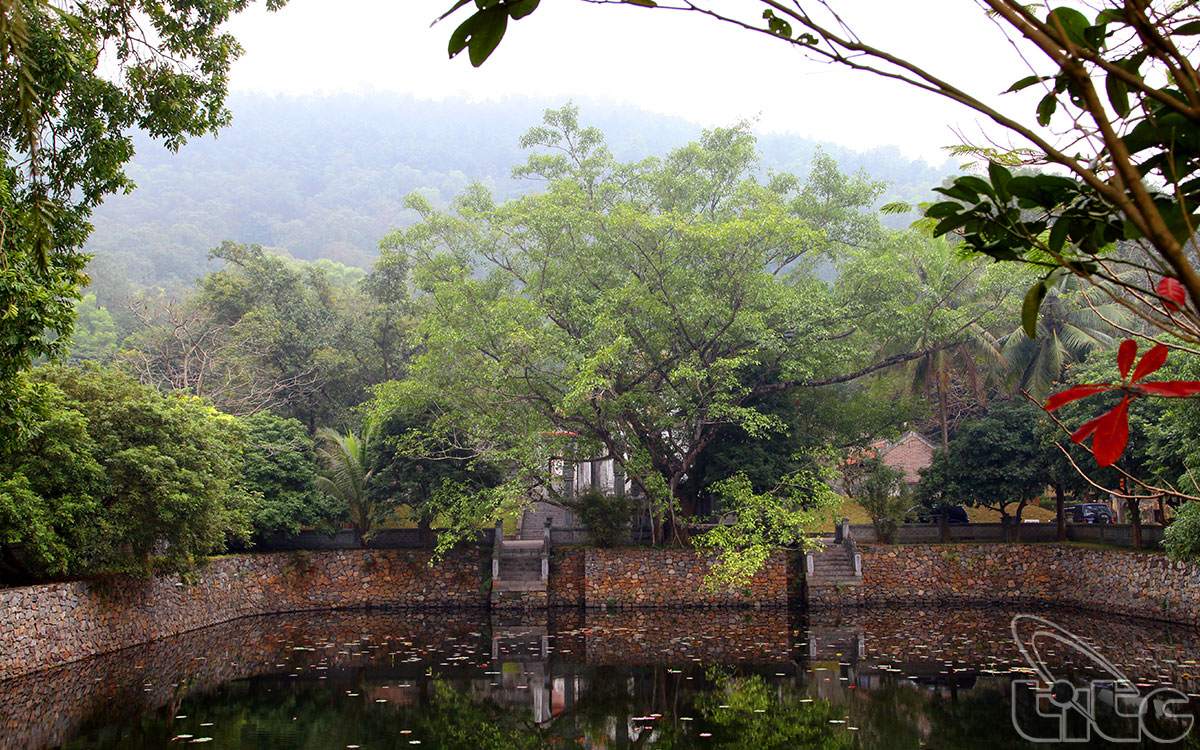 Hồ sen hình chữ nhật với chiều rộng 29,8m, dài 42,2m, ba mặt hồ xây lan can thấp, mặt đối diện với Nghi môn nội được tạo bậc lên xuống, bậc thềm có rồng chầu.