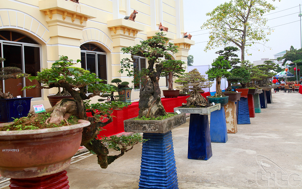 The bonsai and ornamental plants area in the museum