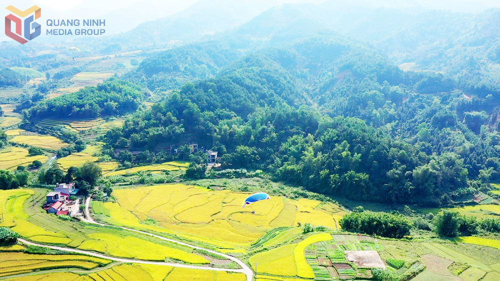 Quang Ninh: Yellow harvest festival to open on October 25 in Luc Hon commune