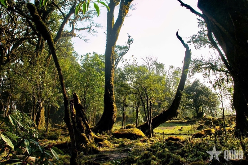 Conquering Samu Peak - Turning point for Ta Xua tourism