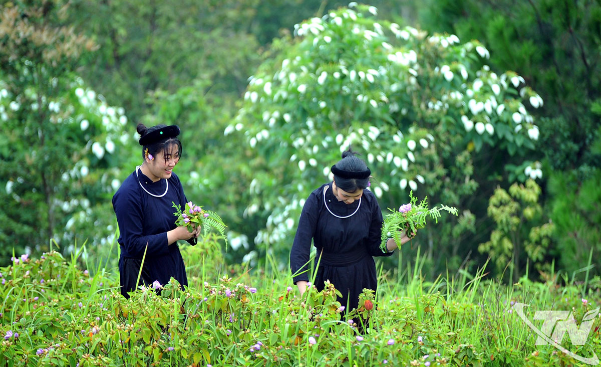 Hòa mình với đất trời giữa thảo nguyên Lủng Tráng