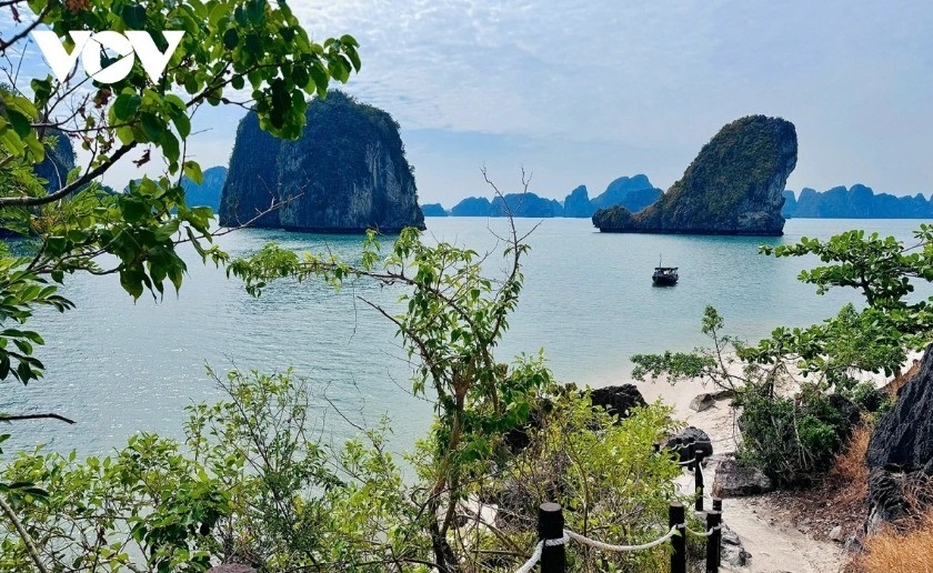Vietnam’s beauty offers unforgettable experiences for international visitors