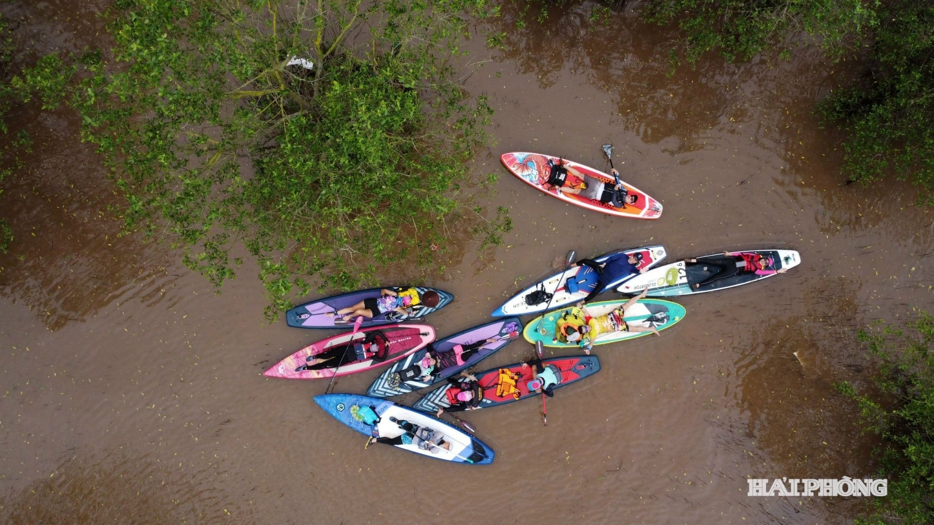 Nét đẹp hoang sơ của rừng ngập mặn Vinh Quang