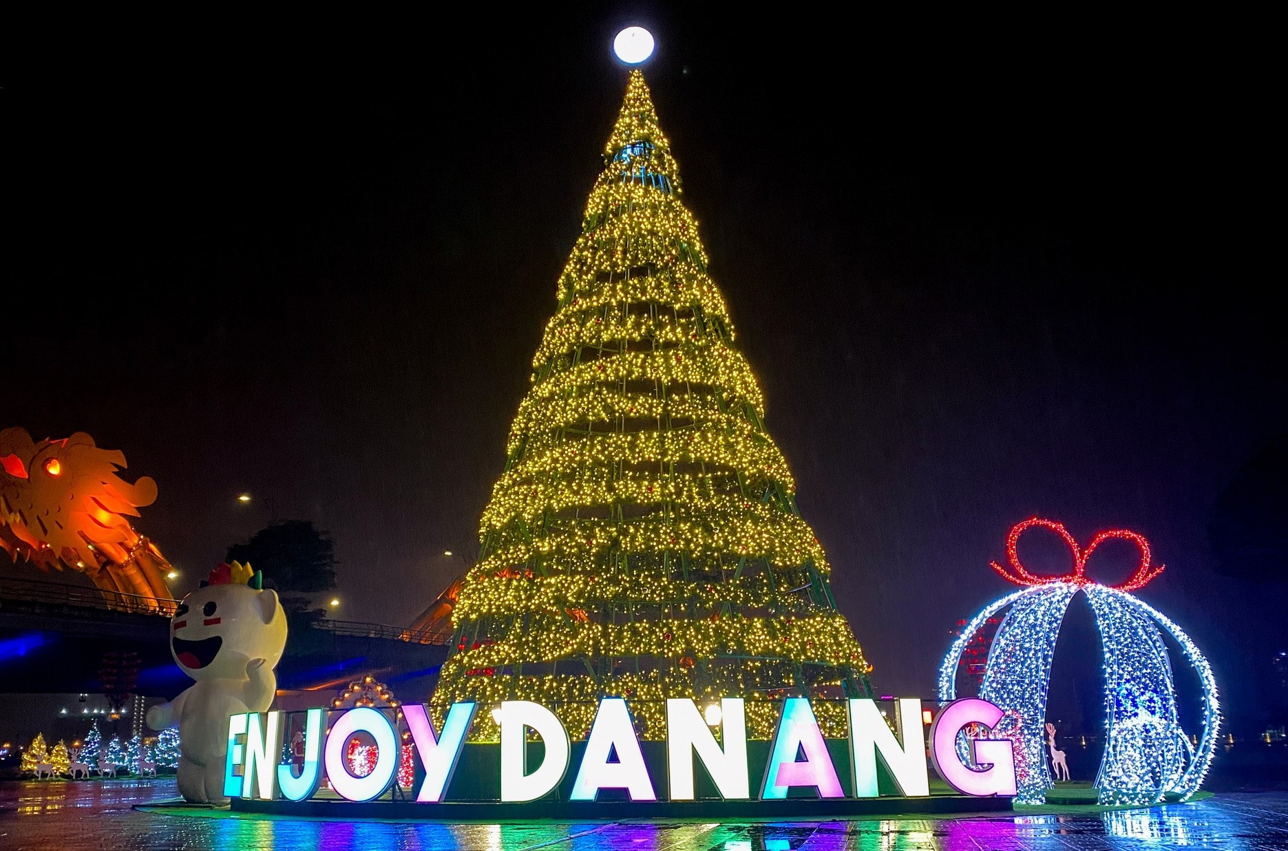 Da Nang unveils full lineup for 2026 New Year Festival