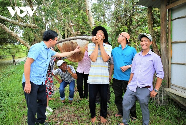 Chasing sun and wind: trellis beekeeping in U Minh Ha