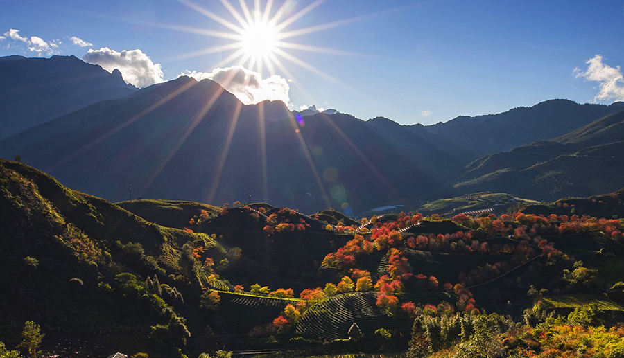 Lượng khách Úc đến Việt Nam tăng mạnh, truyền thông quốc tế lý giải sức hút