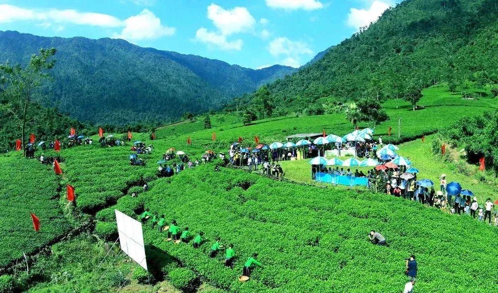 Lễ hội Hương sắc danh trà 2025: điểm hẹn quảng bá thương hiệu chè Thái Nguyên