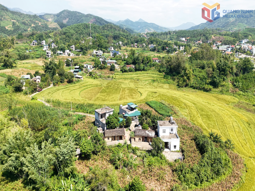 Cao Xiem peak (Quang Ninh) - where clouds dance around the summit