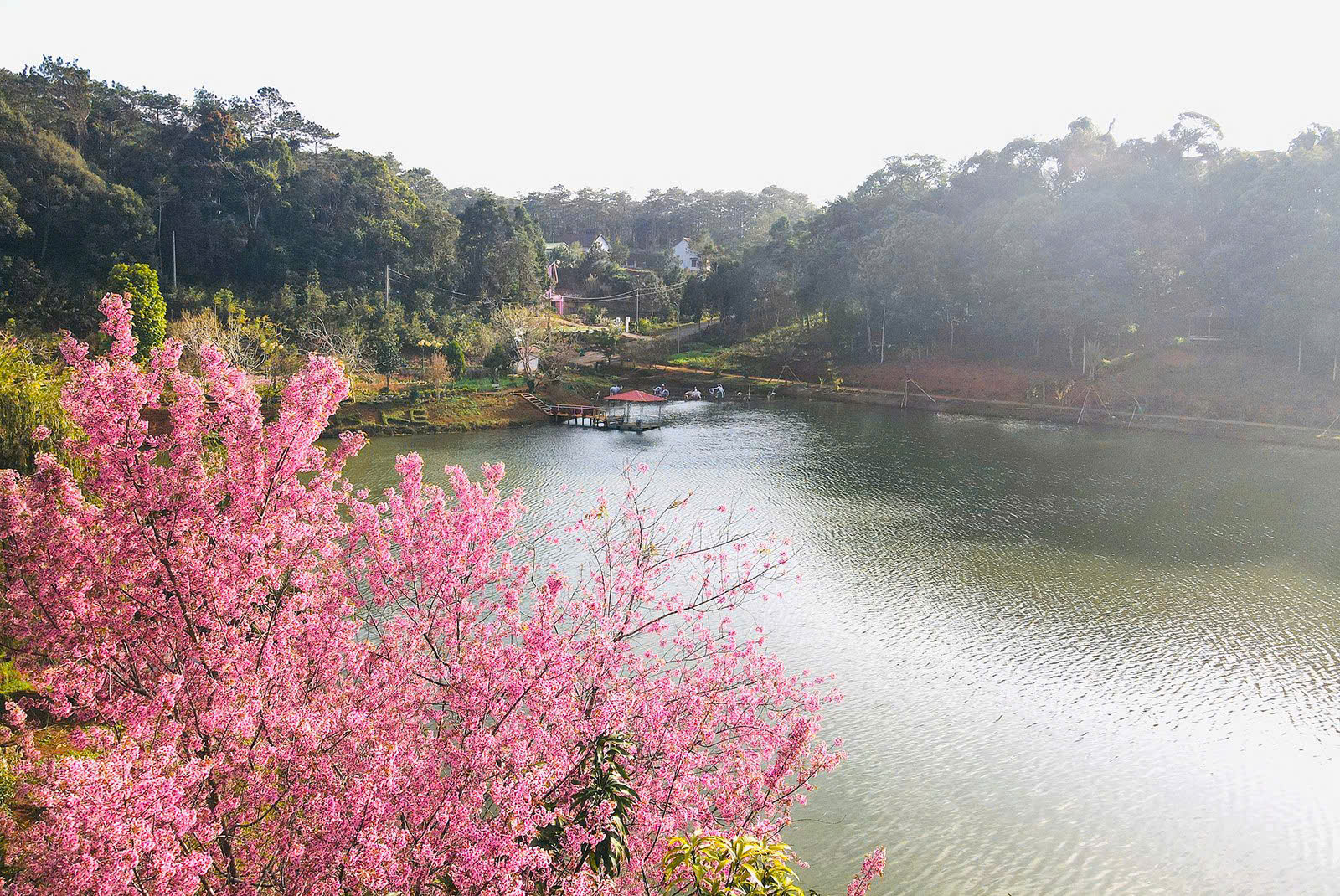 Chuỗi hoạt động văn hóa - du lịch sôi động chào năm mới 2026 tại Quảng Ngãi