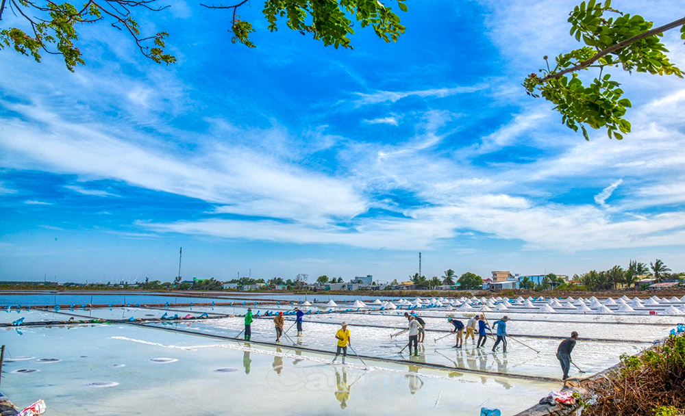 Cà Mau: Vĩnh Hậu phát triển kinh tế trụ cột du lịch