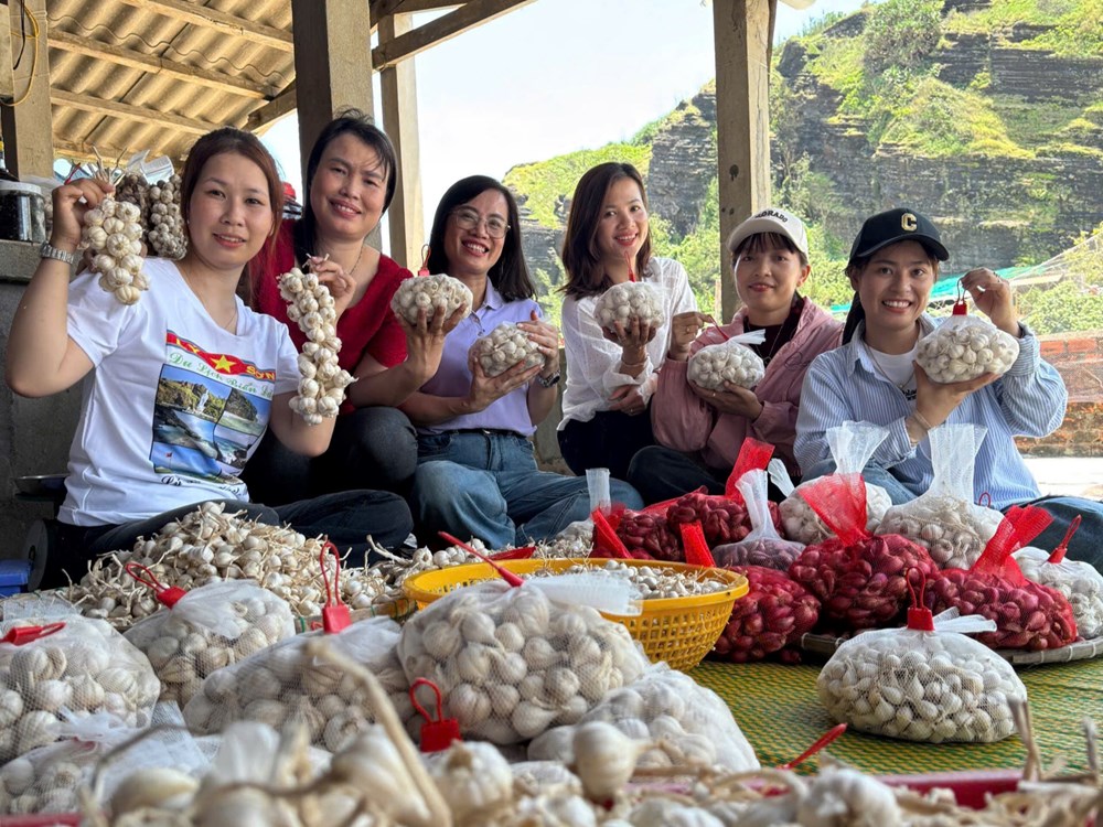 Quảng Ngãi: Quảng bá văn hóa, du lịch Lý Sơn thông qua câu chuyện kể về cây tỏi