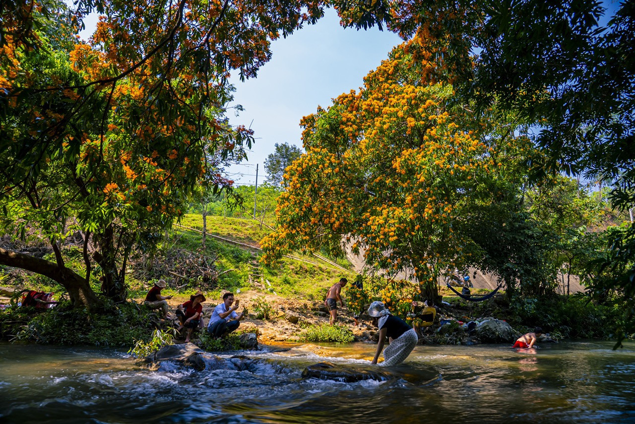 Ta Ma Spring in Binh Dinh: A mesmerizing wild Ixora paradise