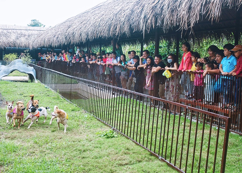 Du lịch hè ở Cần Thơ
