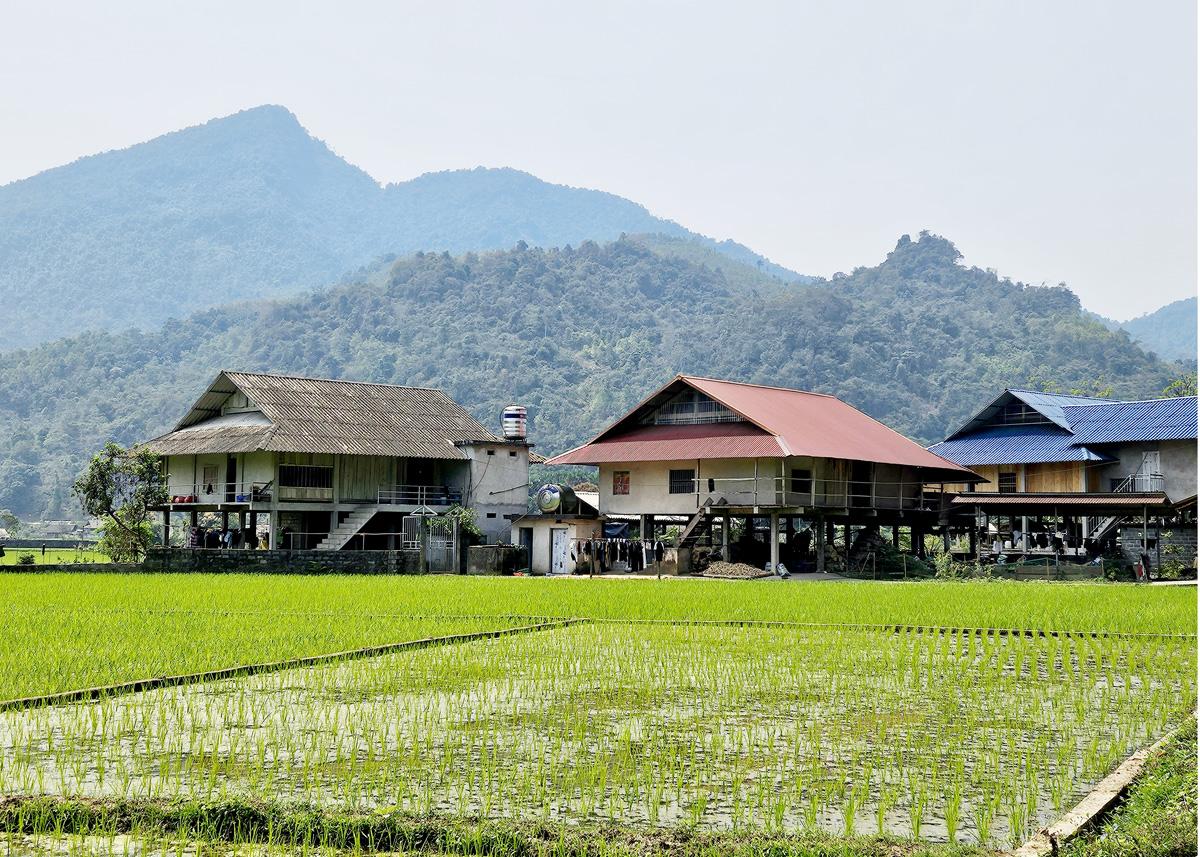 Tay people's stilt houses culture preserved in Ha Giang