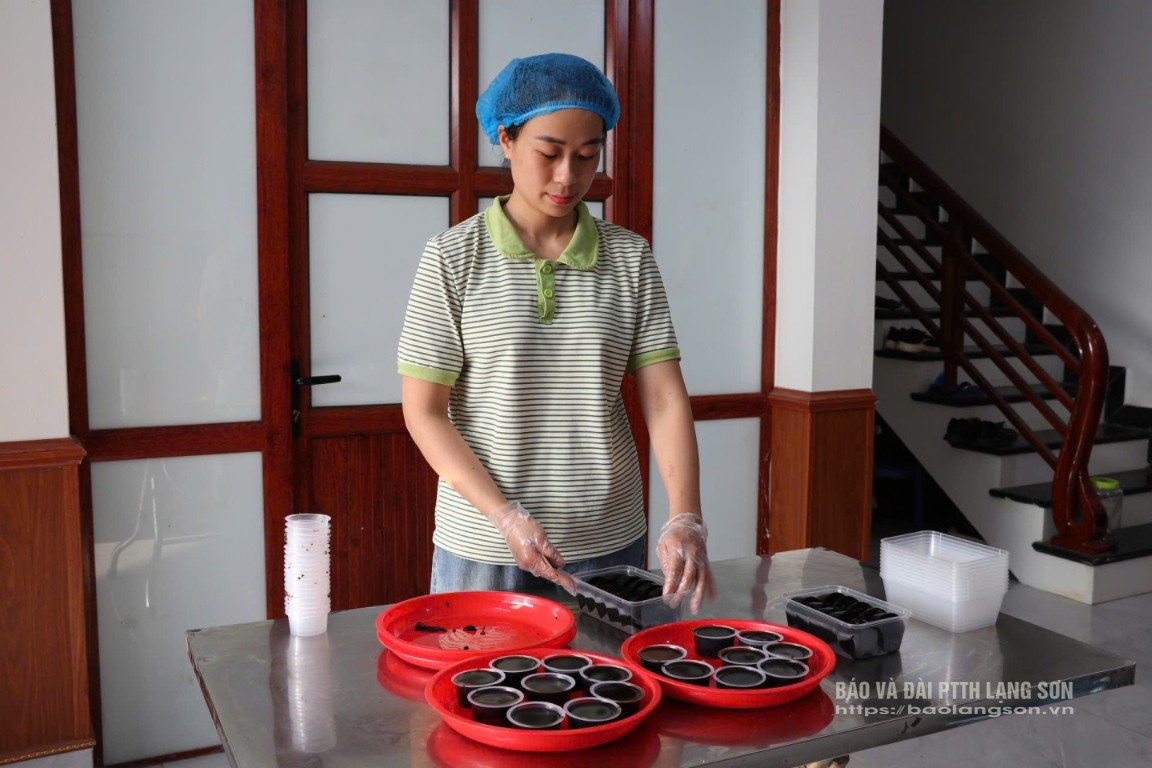 Thơm mát bánh thạch đen