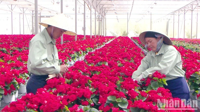 Lâm Đồng sẽ là “trạm sạc” sức khỏe cho du khách