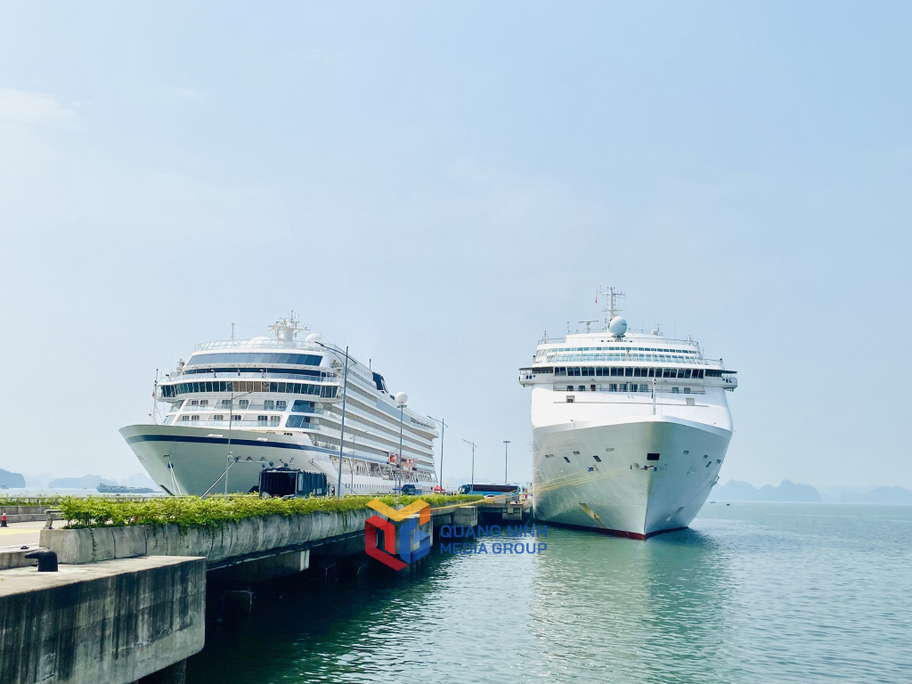 Quang Ninh welcomes nearly 50,000 cruise tourists in 1st half of the year