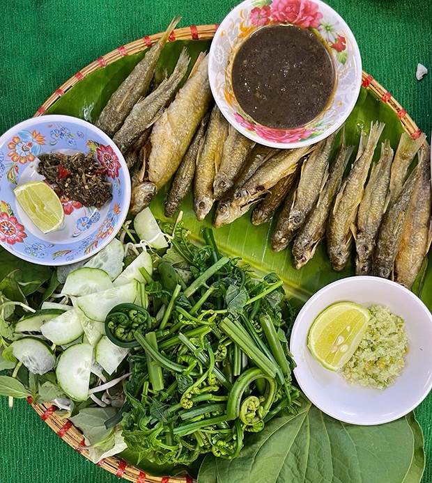 Cá đá sông Côn - Bình Định