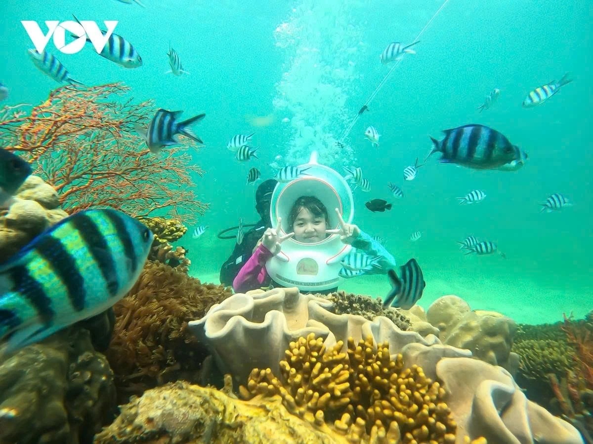 Top Vietnamese destinations draw international tourists in first half