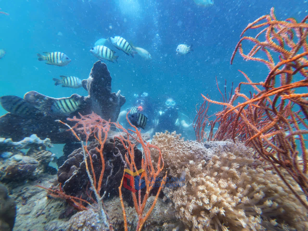 Co To special zone - a “green hub” in the northeast sea