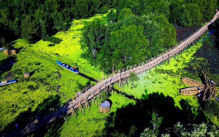Tra Su cajuput forest boasts diverse ecosystem
