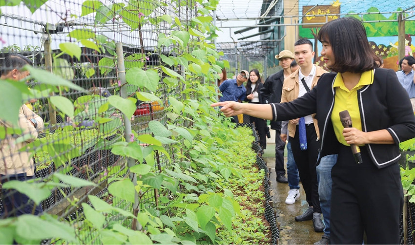 Huế: Nâng chất lượng và tính bền vững cho du lịch nông thôn