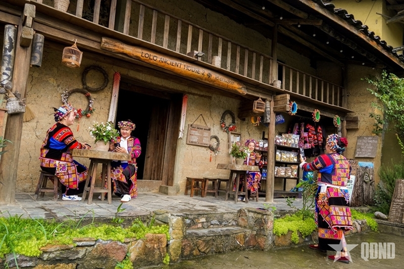 Spring colors on rocky land