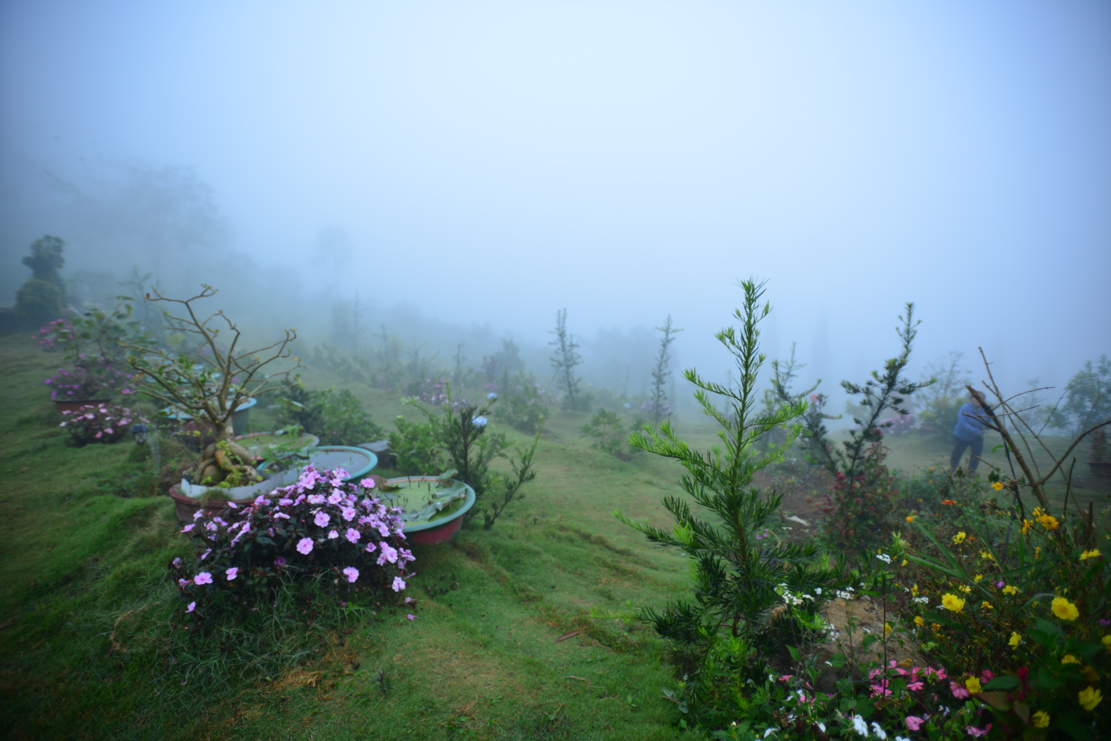 Bình yên trên đỉnh Linh Quy - Bảo Lộc