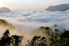 Fansipan Discovery Programme 2009 launched in Lao Cai 