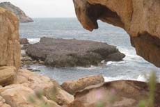 Fossilized coral in Ninh Thuan