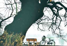 Fleeting Ha Noi moments captured by capital native 