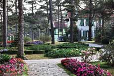 Old Villas in a Flowery Area