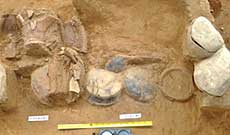 Ancient graves discovered in Quang Ngai 