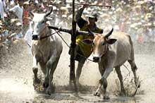 An Giang hosts 5th Khmer cultural festival 