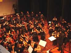 Switzerland-Vietnam cultural festival opens 