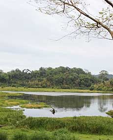 From dusk to dawn at Crocodile Lake