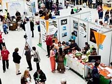 Vietnam joins cultural fair in Netherlands 